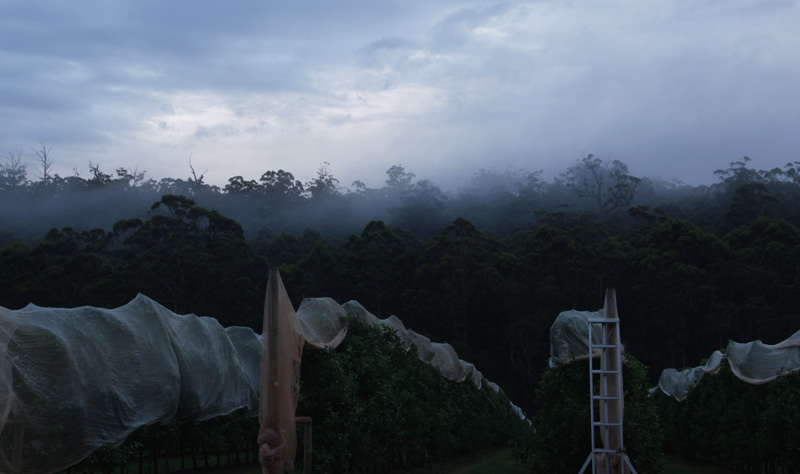 Manjimup farm